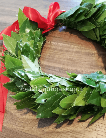 Coroncina di alloro per laurea