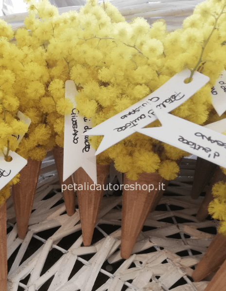 Mimosa per Bar/Ristoranti e Attività commerciali