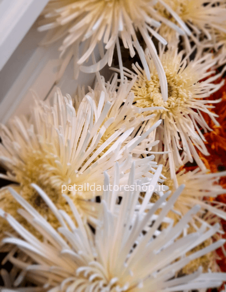 Crisantemo a stelo Anastasia white