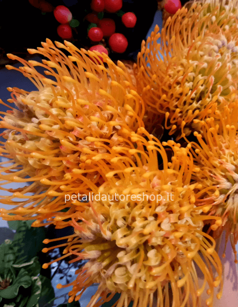 Nutan a stelo giallo/arancio/rosso