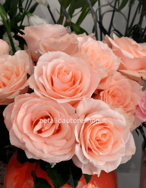 Rosa rosa cipria a stelo