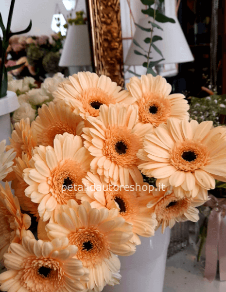 Germini coffee a stelo