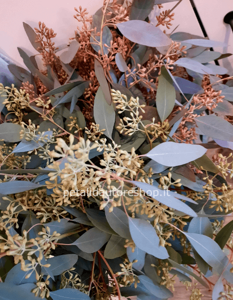 Mazzo di eucalipto populus granito