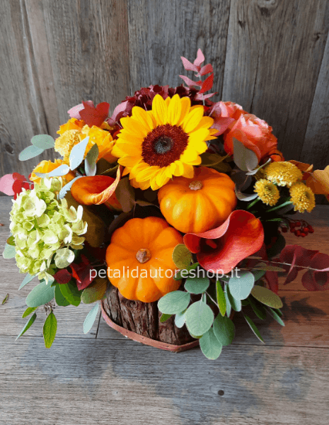Composizione autunnale con zucche